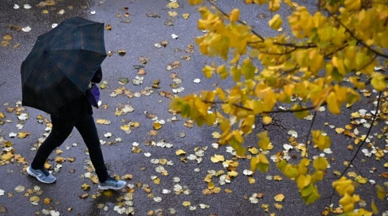 Pluies, orages, baisse du mercure… Découvrez les prévisions météo en Algérie pour ce 28 octobre