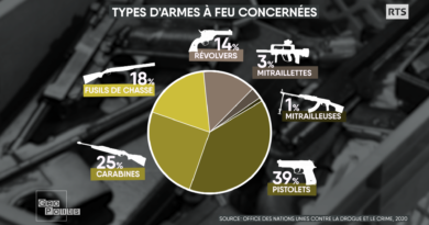 Plus dâun milliard dâarmes Ã  feu sont en circulation dans le monde