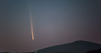 Sa dernière visite date de 800 siècles... La « comète du siècle » débarque ce soir dans notre ciel