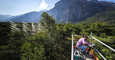 Une expérience unique menée en Suisse étudie l’impact de la sécheresse sur la forêt