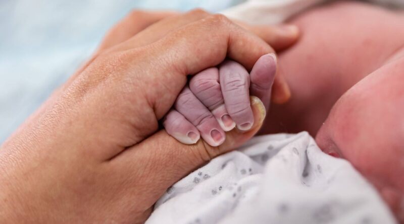 A terre, en mer ou dans les airs, ces bébés sont nés dans des endroits étonnants