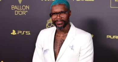 Abus de bien sociaux : Djibril Cissé condamné à de la prison avec sursis et 20.000 euros d’amende