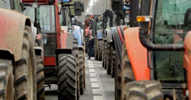 Agriculteurs en colère : Nouvelles actions alors que les députés vont débattre sur le traité Mercosur