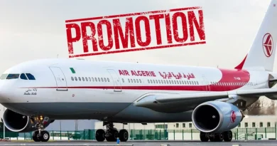 Air Algérie gâte ses clients : offres promotionnelles sur les vols nationaux et internationaux