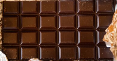 Allemagne : Cette start-up a créé un chocolat fabriqué sans fèves de cacao