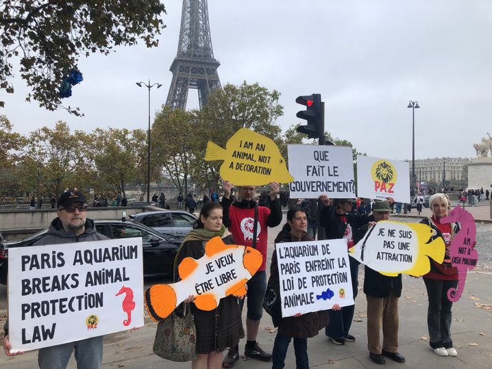 Les défenseurs de la cause animale de Paris Animaux Zoopolis manifestent devant l'Aquarium de Paris le 31 octobre 2024.