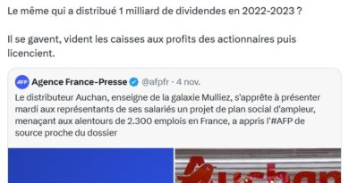 Auchan : En difficulté, l’entreprise a versé un milliard de dividendes à ses actionnaires en 2022-2023 ? Non