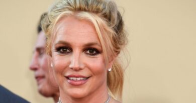 Britney Spears ne payera plus de pension alimentaire à Kevin Federline pour leurs enfants