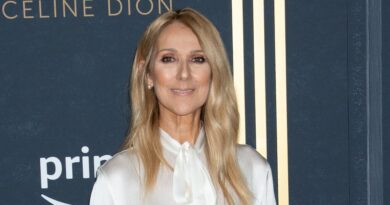 Céline Dion fait sensation à Riyad avec une prestation surprise au défilé Elie Saab