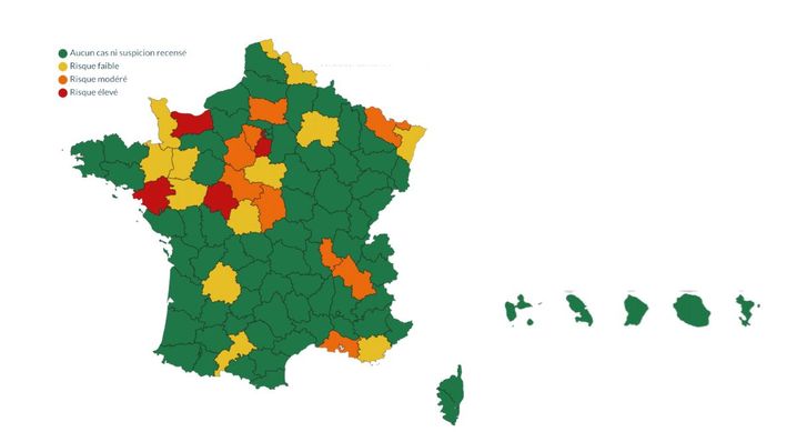 La rhinopneumonie touche les chevaux principalement dans le centre et l'ouest du pays. Cette carte montre la situation en France au 22 novembre 2024.