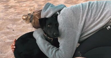 Chienne disparue à Roissy : « Sur un terrain comme l’aéroport, Amalka dispose de plein de cachettes »