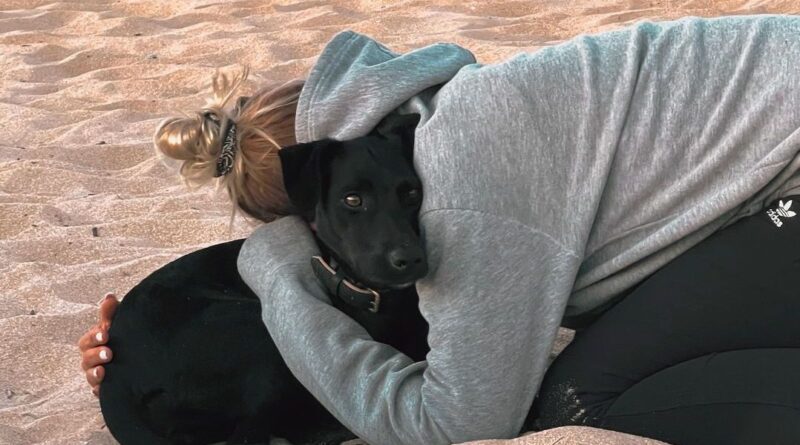 Chienne disparue à Roissy : « Sur un terrain comme l’aéroport, Amalka dispose de plein de cachettes »