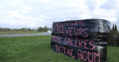 Colère agricole : « Tout nous tombe dessus »… La grogne monte chez des éleveurs « à bout de nerfs »