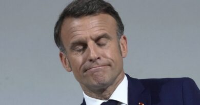 Colère des agriculteurs : La France peut-elle vraiment bloquer le traité entre l’Union européenne et le Mercosur ?