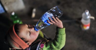 Des particules dans le sperme, le sang… L’homme est-il en train de se transformer en plastique ?