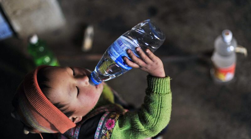 Des particules dans le sperme, le sang… L’homme est-il en train de se transformer en plastique ?