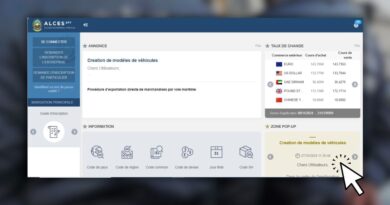 Douane algérienne : comment faire sa déclaration en ligne