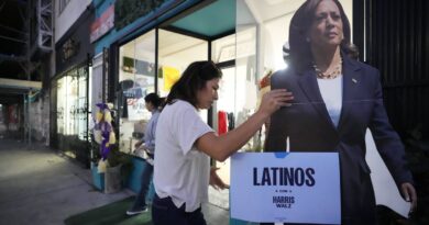 Election américaine 2024 : Comment Kamala Harris a-t-elle pu perdre le vote des latinos ?