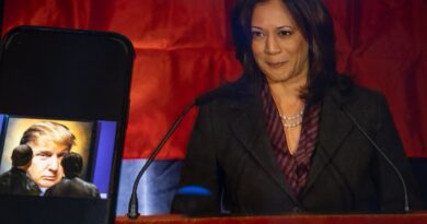 Élection américaine 2024 : « Kamala Harris a fait une contre-performance sur tous les tableaux »