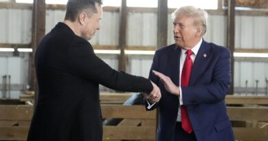 Election américaine 2024 : Musk a participé à la conversation de Zelensky avec Trump après sa victoire