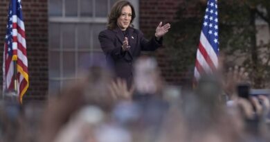 Election américaine 2024 : « Nous continuerons de mener le combat dans les urnes », affirme Kamala Harris