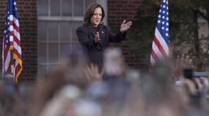 Election américaine 2024 : « Nous continuerons de mener le combat dans les urnes », affirme Kamala Harris