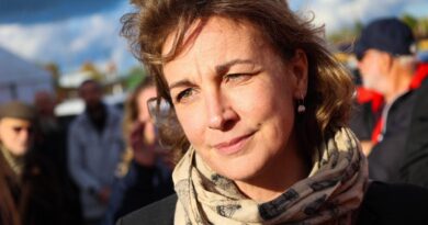 Emploi : « Les plans sociaux ne sont que la partie immergée de l’iceberg », alerte la patronne de la CFDT Marylise Léon