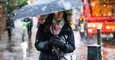 EN IMAGES Londres : Il a neigé pour la première fois de la saison sur la capitale britannique