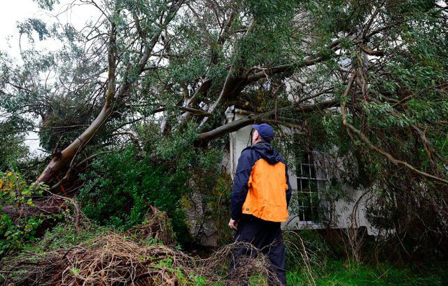 Un ingénieur en bâtiment vérifie les dégâts causés par la tempête Bert qui a fait tomber un arbre sur un bâtiment classé de Cowick Street, à Exeter, dans le comté de Devon, dans le sud de l’Angleterre, le 24 novembre 2024.