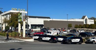 Etats-Unis : En plein Black Friday, une fusillade dans un centre commercial en Arkansas fait trois blessés