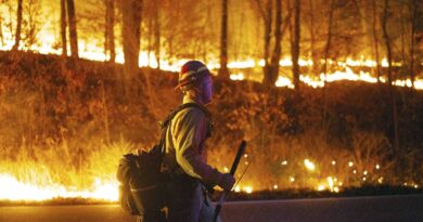 Etats-Unis : Incendie dans les Etats du New Jersey et de New York… Plus de 1.200 hectares déjà détruits et un mort