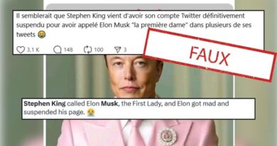 Etats-Unis : Non, Elon Musk n’a pas banni Stephen King de X (mais il est parti de lui-même)