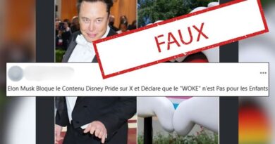 Etats-Unis : Non, Elon Musk n’a pas bloqué les contenus LGBT+ de Disney sur la plateforme X