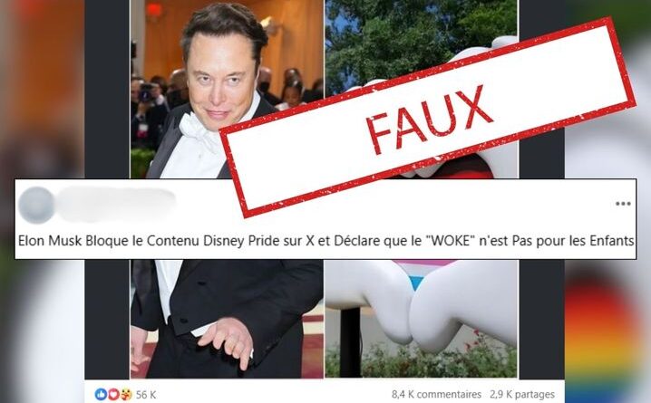 Etats-Unis : Non, Elon Musk n’a pas bloqué les contenus LGBT+ de Disney sur la plateforme X