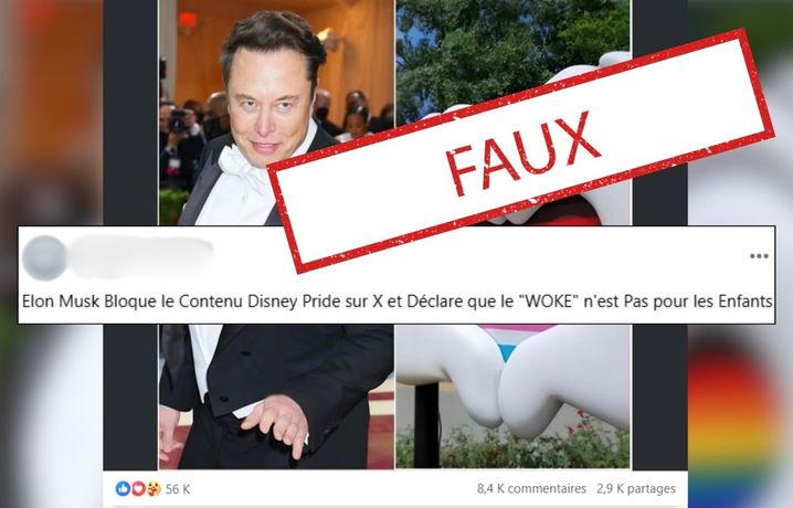 Sur Facebook, plusieurs publications affirment qu'Elon Musk aurait bloqué les contenus de Disney liés à la Pride sur X. 