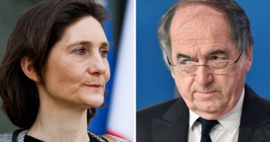 FFF : « Une sage décision », Noël Le Graët retire sa plainte pour diffamation contre Amélie Oudéa-Castéra