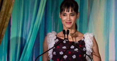 Gala L’Alliance New York 2024 : le Trophée des Arts brille entre les mains de Sofia Boutella