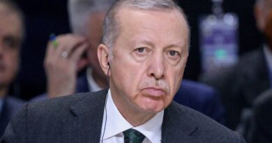 Guerre au Proche-Orient : Erdogan applaudit le mandat d’arrêt de la CPI contre Netanyahou