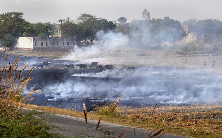 Inde : La pollution de l’air est 60 fois supérieure aux normes maximales à New Delhi