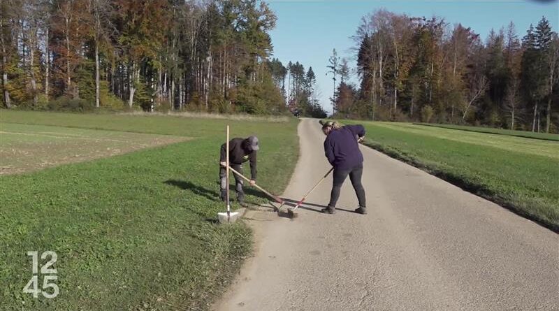 La fin de la tradition des corvées communales à Auboranges