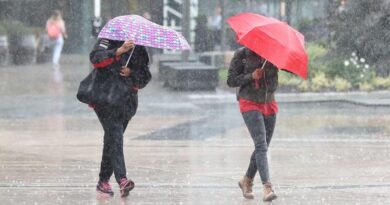 La météo en Algérie ce lundi 11 novembre : pluies persistantes dans plusieurs wilayas du pays !