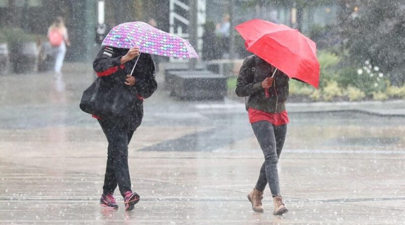 La météo en Algérie ce lundi 11 novembre : pluies persistantes dans plusieurs wilayas du pays !