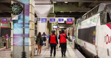 La SNCF relaxée pour la mort de Neko, chat écrasé par un train