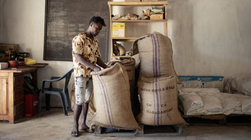 Les Suisses aident le cacao de Madagascar à faire face au changement climatique   