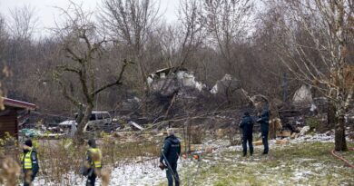 Lituanie : Après le crash d’un avion-cargo, l'Allemagne évoque une possible intervention extérieure