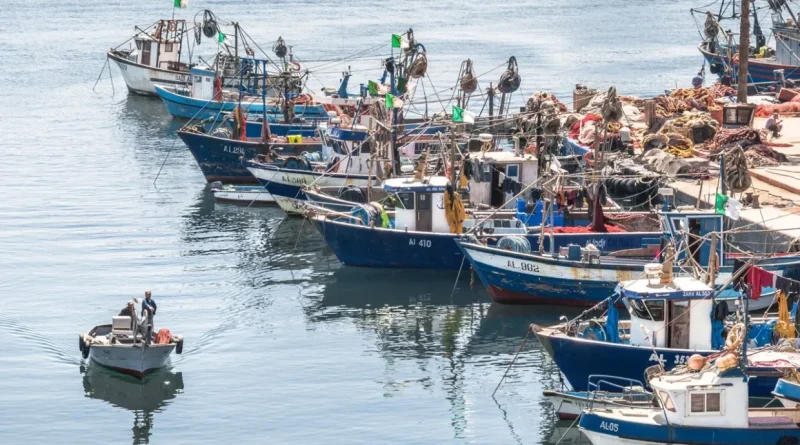 Lutte contre la pêche illégale : l’Algérie remporte le prix CGPM de la FAO