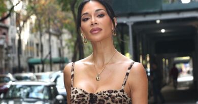 Nicole Scherzinger et Robin Antin, la créatrice des Pussycat Dolls, ont trouvé un accord après trois ans de procès