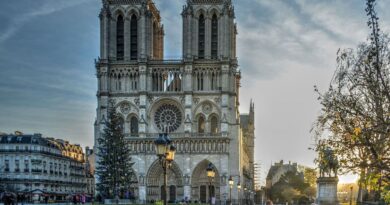 Notre-Dame de Paris : Séries, documentaire… Comment vivre la réouverture à la télévision ?