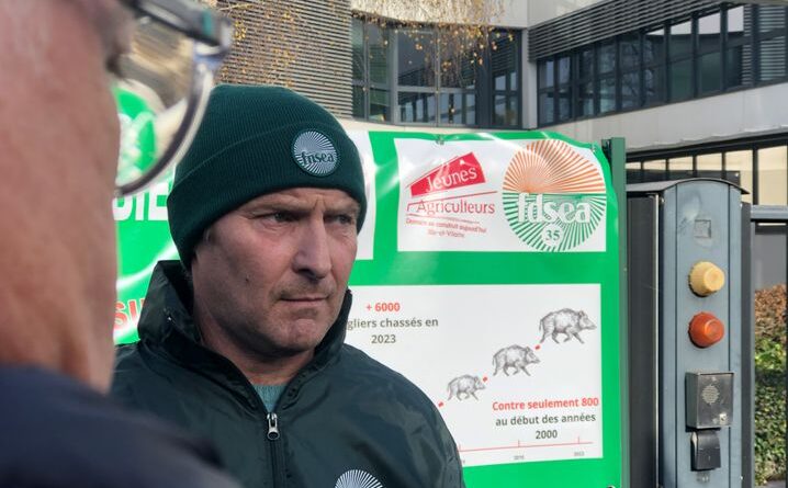 « On a des collègues qui ne dorment plus »… Les sangliers sont devenus le cauchemar des agriculteurs