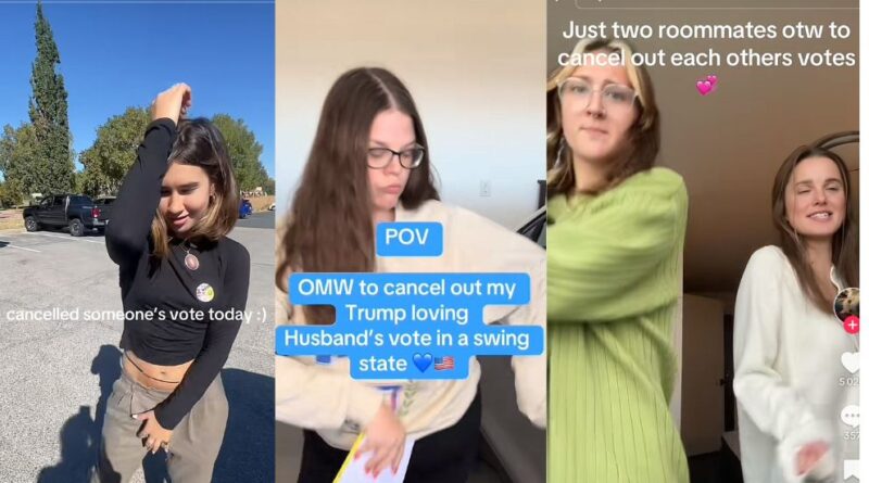 « Papa, ton vote ne comptera pas » : sur Tiktok, la Gen Z se mobilise pour « annuler » le vote de leur proche